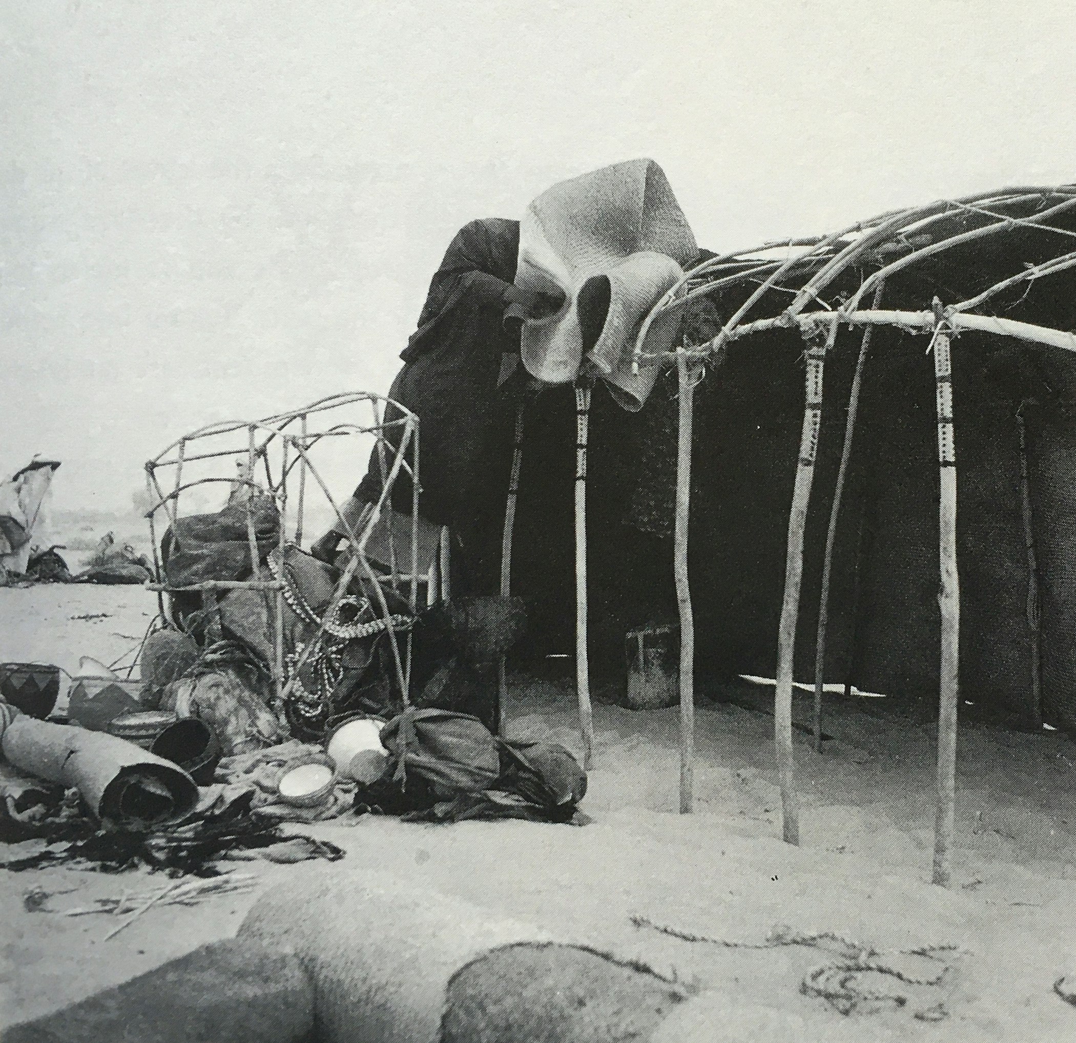 A Tubu woman constructing her tent in the northern Ennedi region of Chad