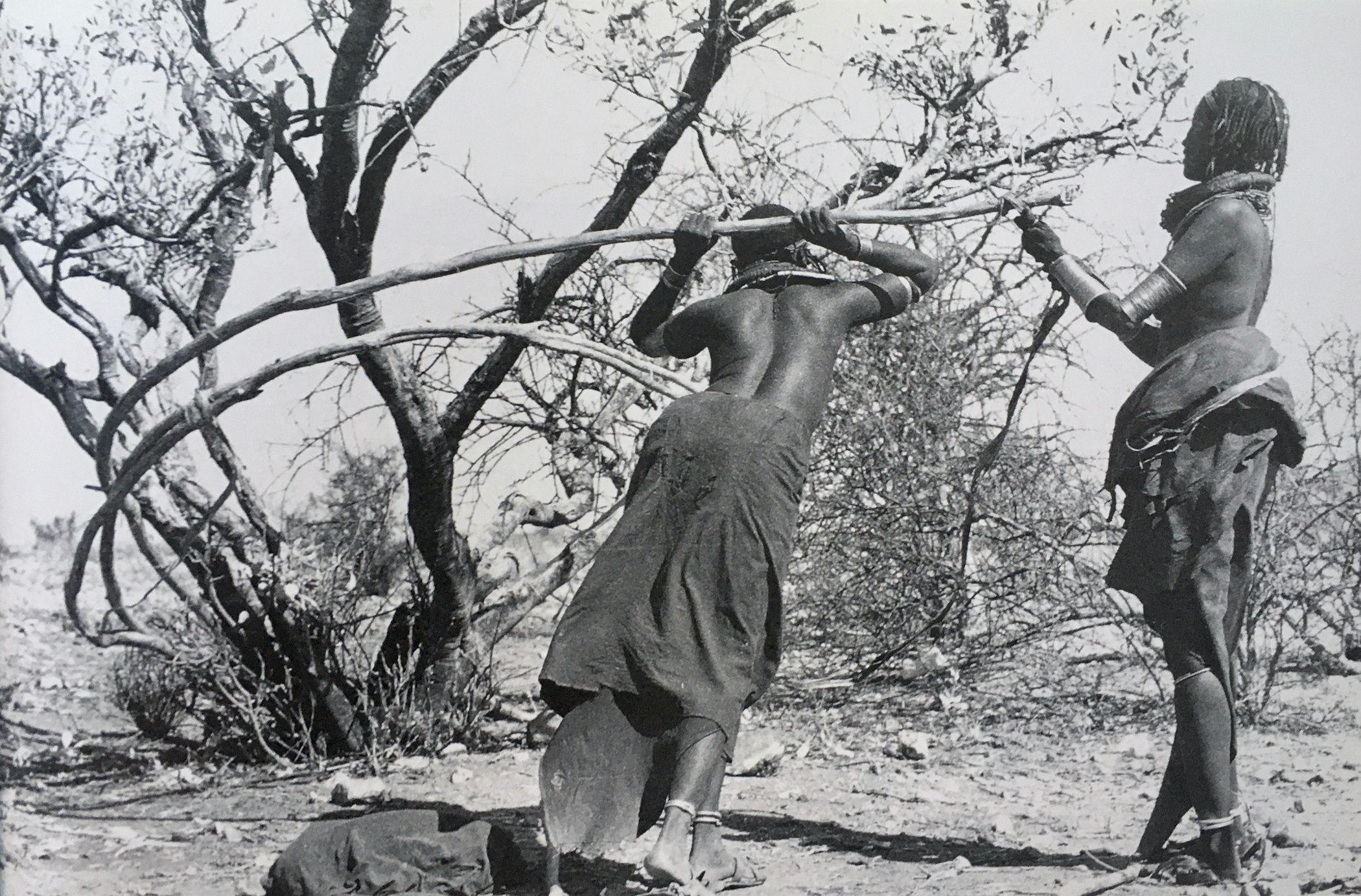 Two Rendille women bending gaer sticks to create architectural components in northern Kenya