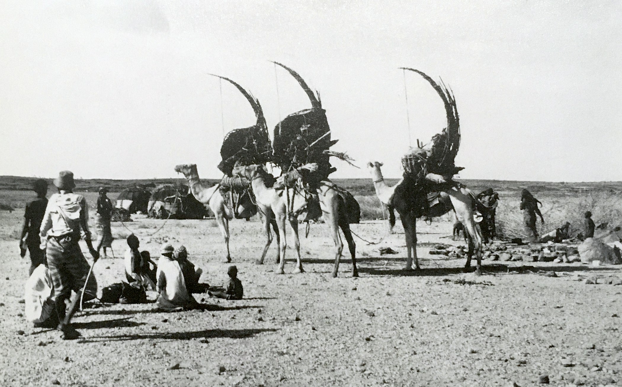 Gabra women securing tent elements that have been reconfigured to form the camel litter armature, northern Kenya, photograph by Labelle Prussin, published in Labelle Prussin, African Nomadic Architecture: Space, Place and Gender