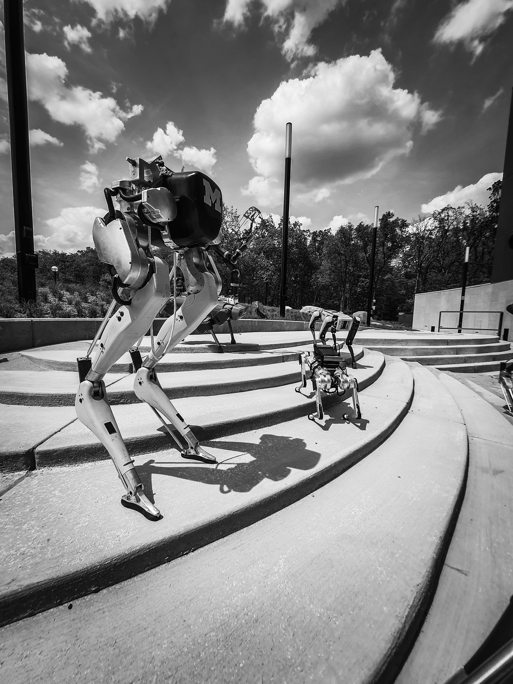 Robot Garden Um Neural Arch Bw